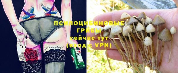 каннабис Арсеньев